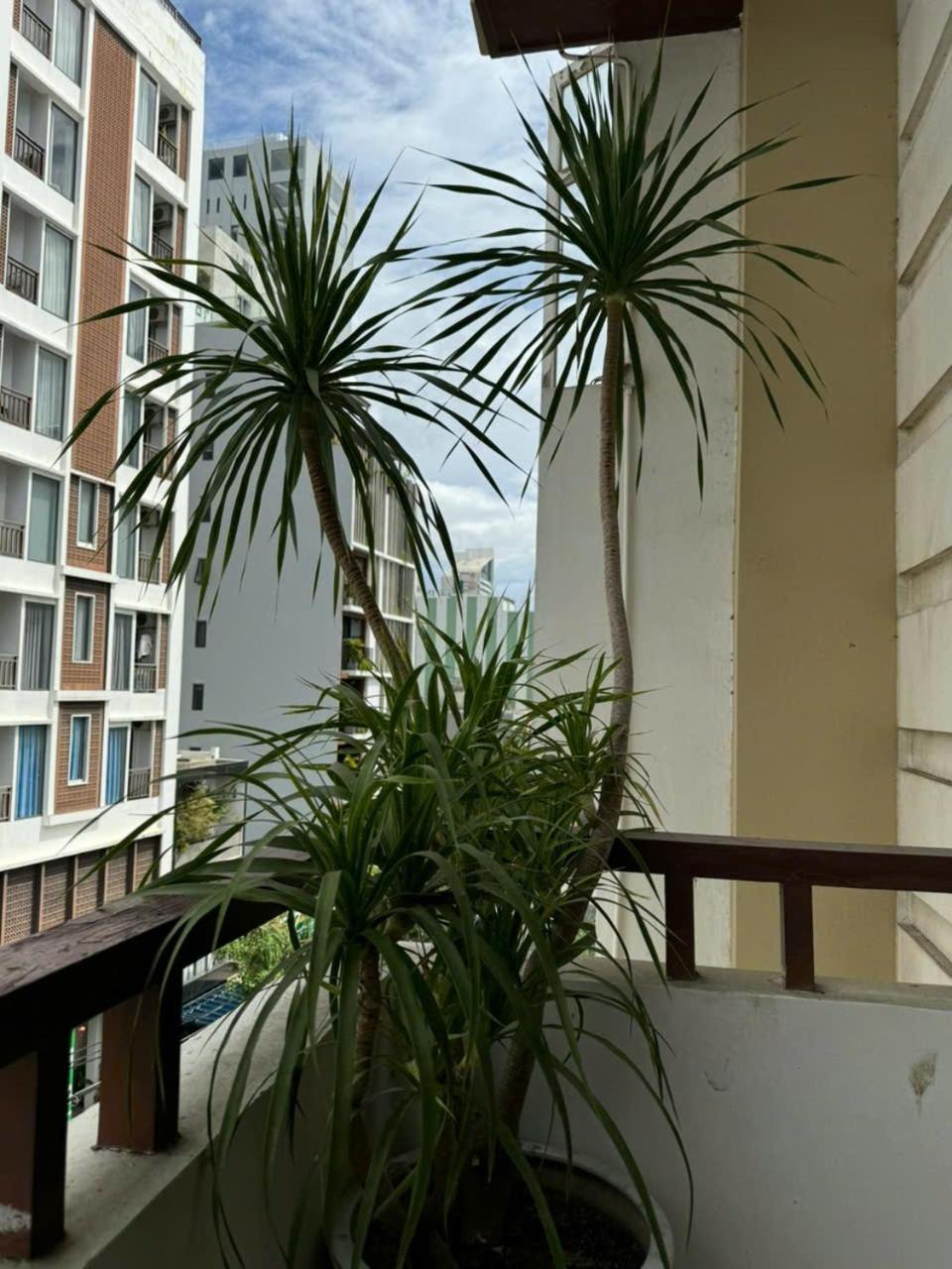 Thanh Hien Hb Hotel Da Nang Esterno foto