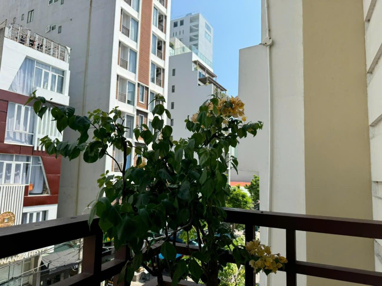 Thanh Hien Hb Hotel Da Nang Esterno foto